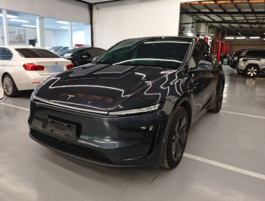 Tesla Model Y 2025 Tesla Model Y 2025 car image
