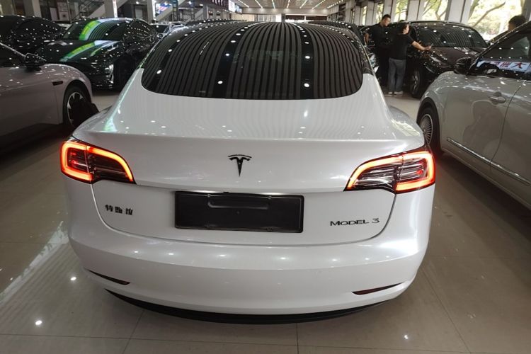 Tesla Model 3 2023 car image #6