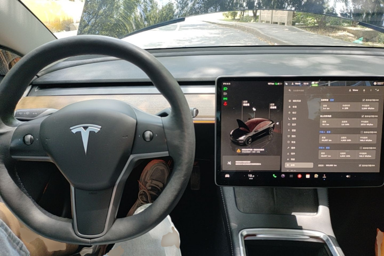 Tesla Model 3 2023 #10 Tesla Model 3 2023 car image #10