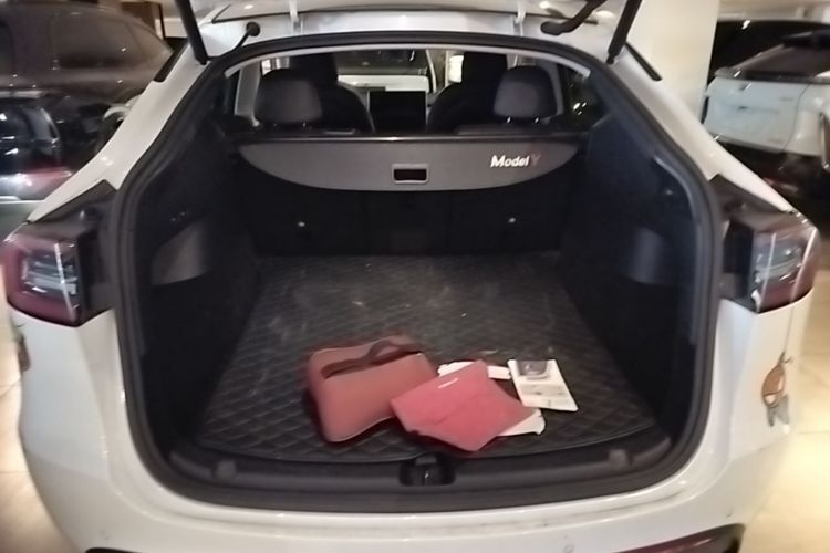 Tesla Model Y 2021 immagine di auto #19