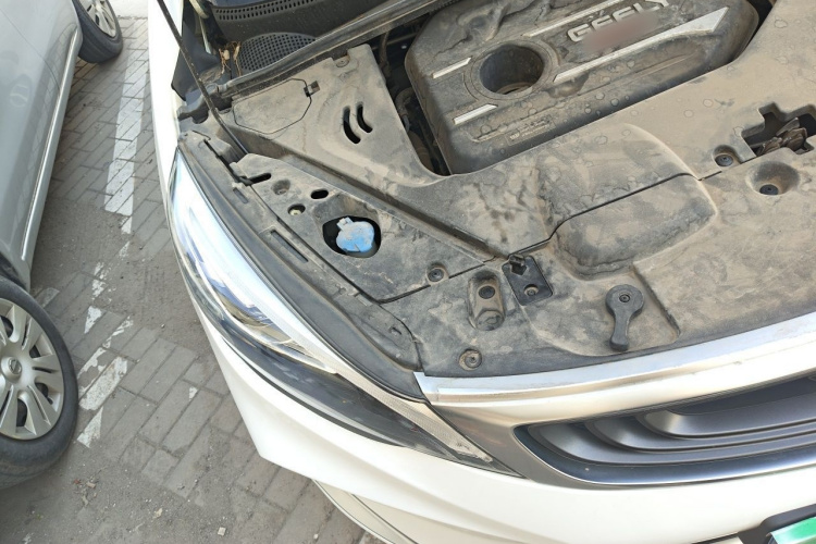 GEELY Emgrand GS 2019 car image #28