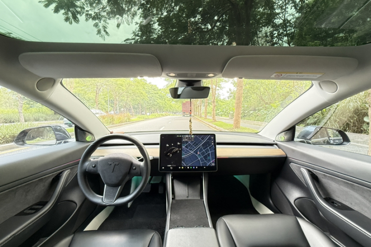 Tesla Model 3 2020 #9 Tesla Model 3 2020 car image #9