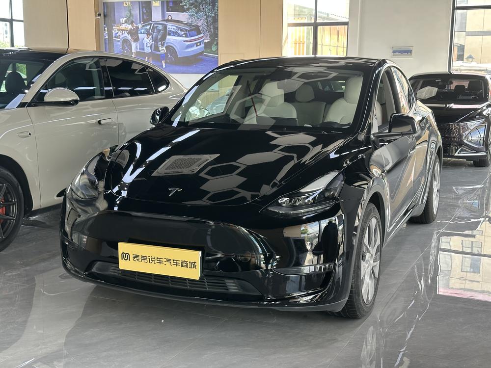 Tesla Model Y 2021 Tesla Model Y 2021 car image
