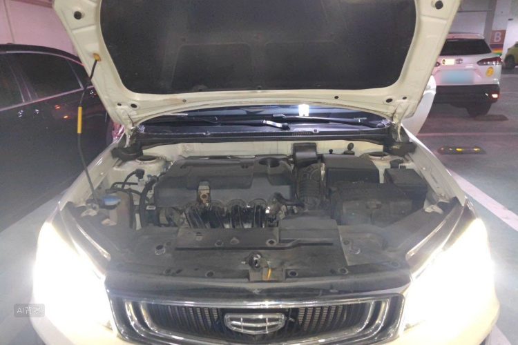 GEELY Emgrand 2019 car image #22
