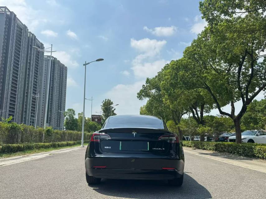 Tesla Model 3 2022 #7 Tesla Model 3 2022 car image #7