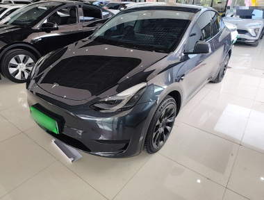 Tesla Model Y 2024 car image 