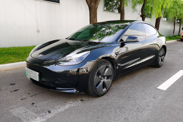 Tesla Model 3 2021 car image #2