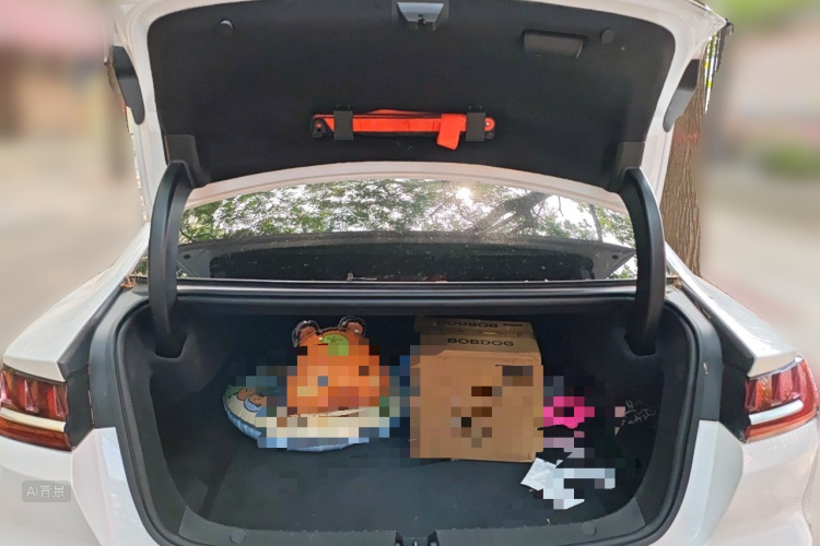 BYD Han 2021 car image #21