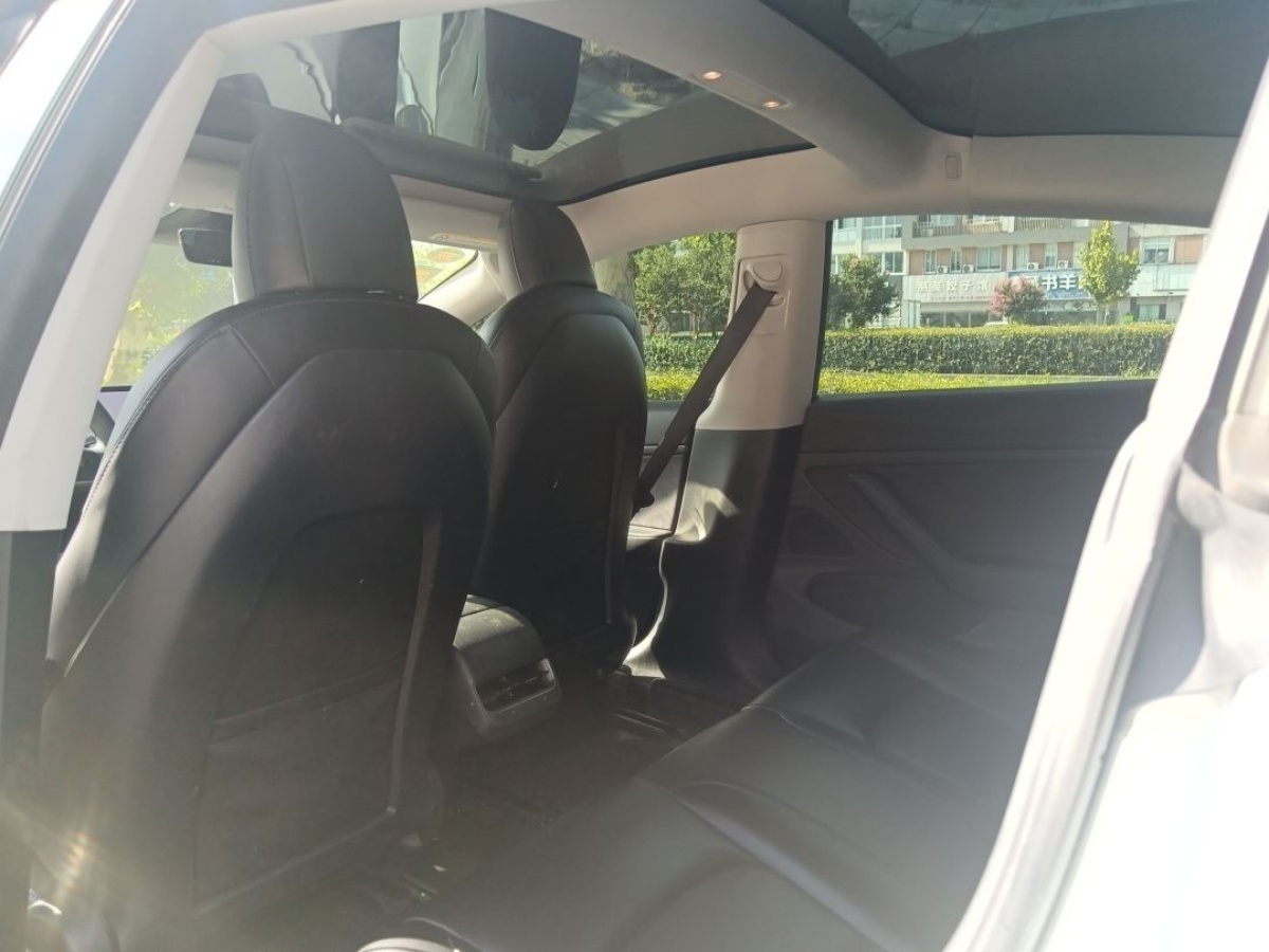 Tesla Model 3 2020 #3 Tesla Model 3 2020 car image #3