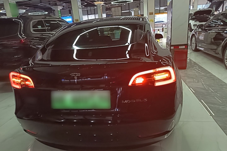 Tesla Model 3 2021 car image #4