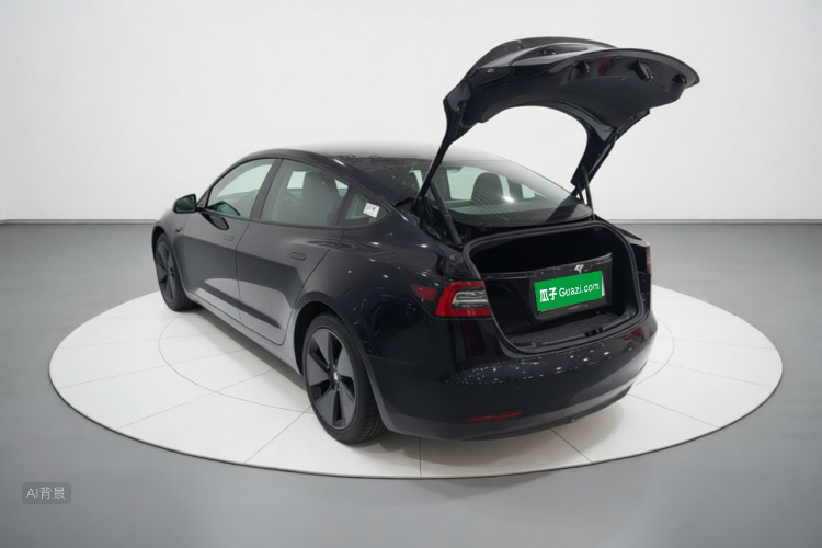 Tesla Model 3 2021 #5 Tesla Model 3 2021 car image #5