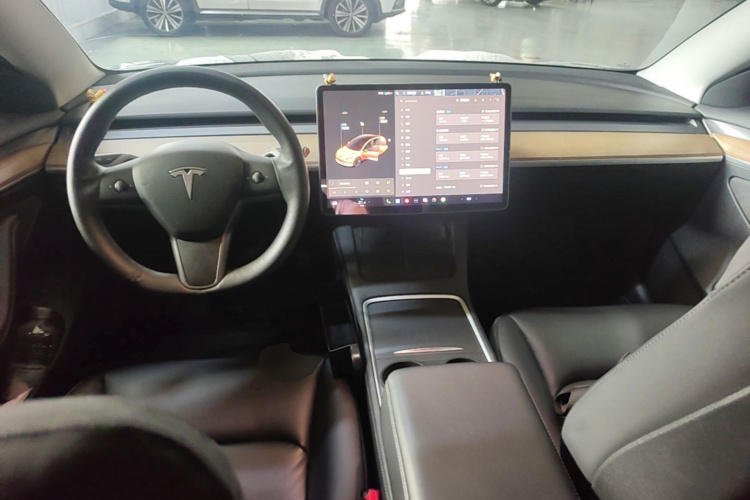 Tesla Model 3 2021 #10 Tesla Model 3 2021 car image #10