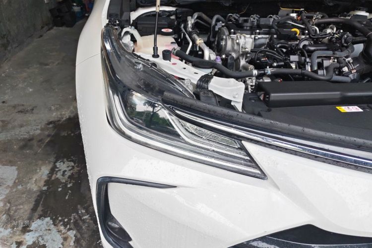 Toyota Corolla 2021 car image #8