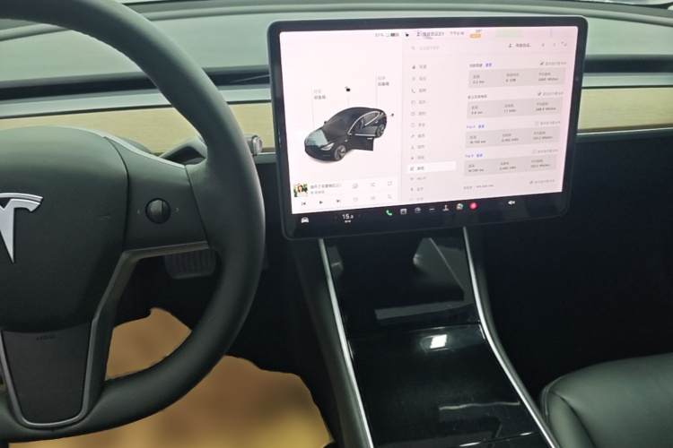 Tesla Model 3 2020 car image #10