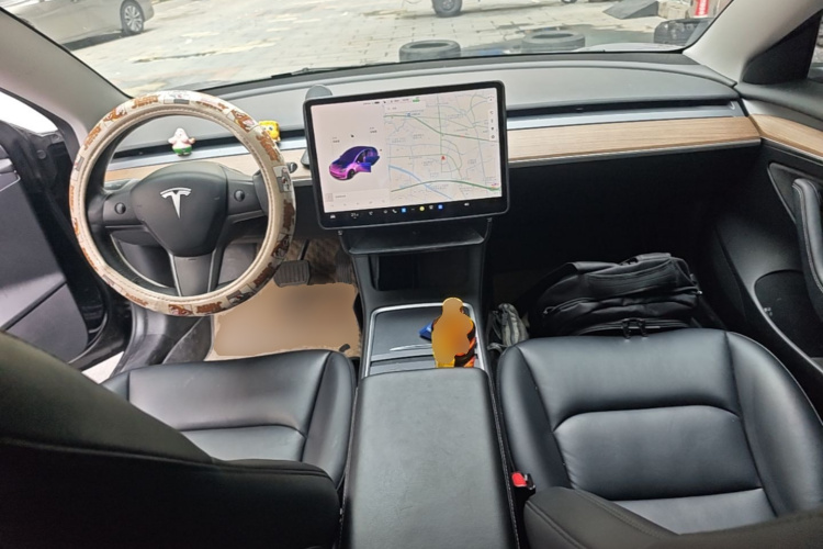 Tesla Model 3 2021 car image #10