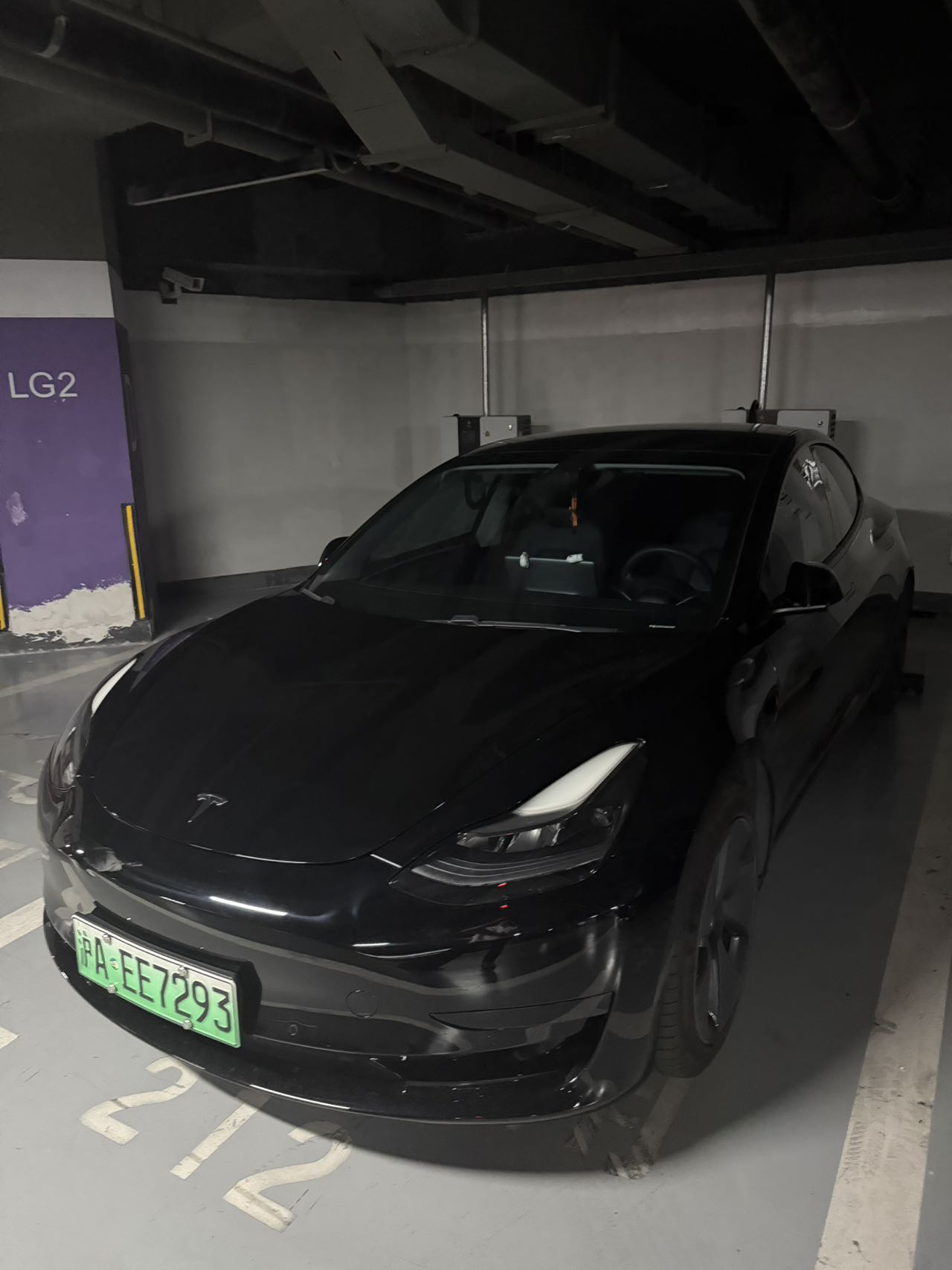 Tesla Model 3 2021 car image 