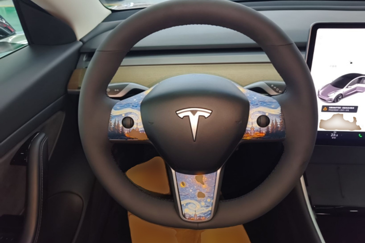 Tesla Model 3 2020 car image #11