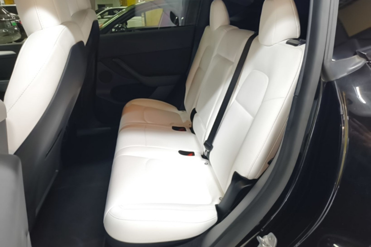 Tesla Model Y 2021 car image #13