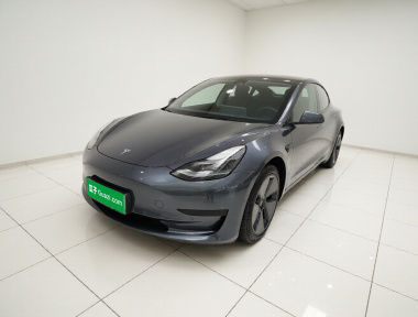 Tesla Model 3 2022 Tesla Model 3 2022 car image