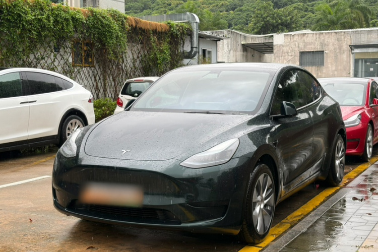 Tesla Model Y 2023 car image #2
