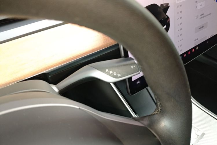 Tesla Model 3 2020 immagine di auto #14