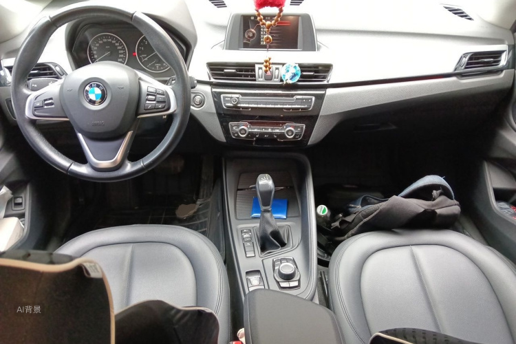 BMW X1 2016 car image #11