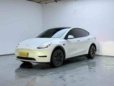 Tesla Model Y 2024 Tesla Model Y 2024 car image