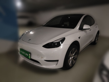 Tesla Model Y 2021 Tesla Model Y 2021 immagine di auto