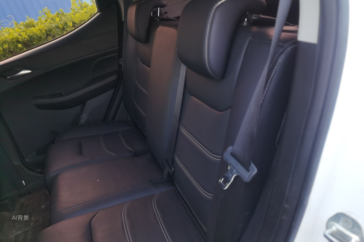 BYD Yuan New Energy 2020 car image #19