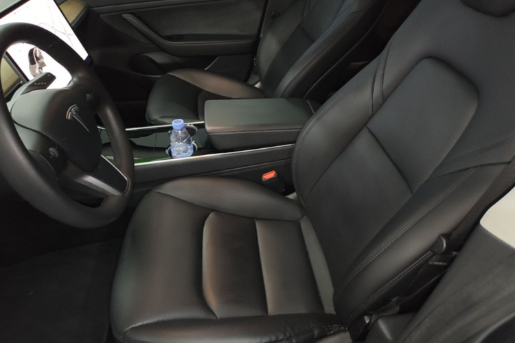 Tesla Model 3 2020 car image #15