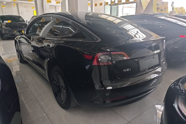 Tesla Model 3 2023 #5 Tesla Model 3 2023 car image #5