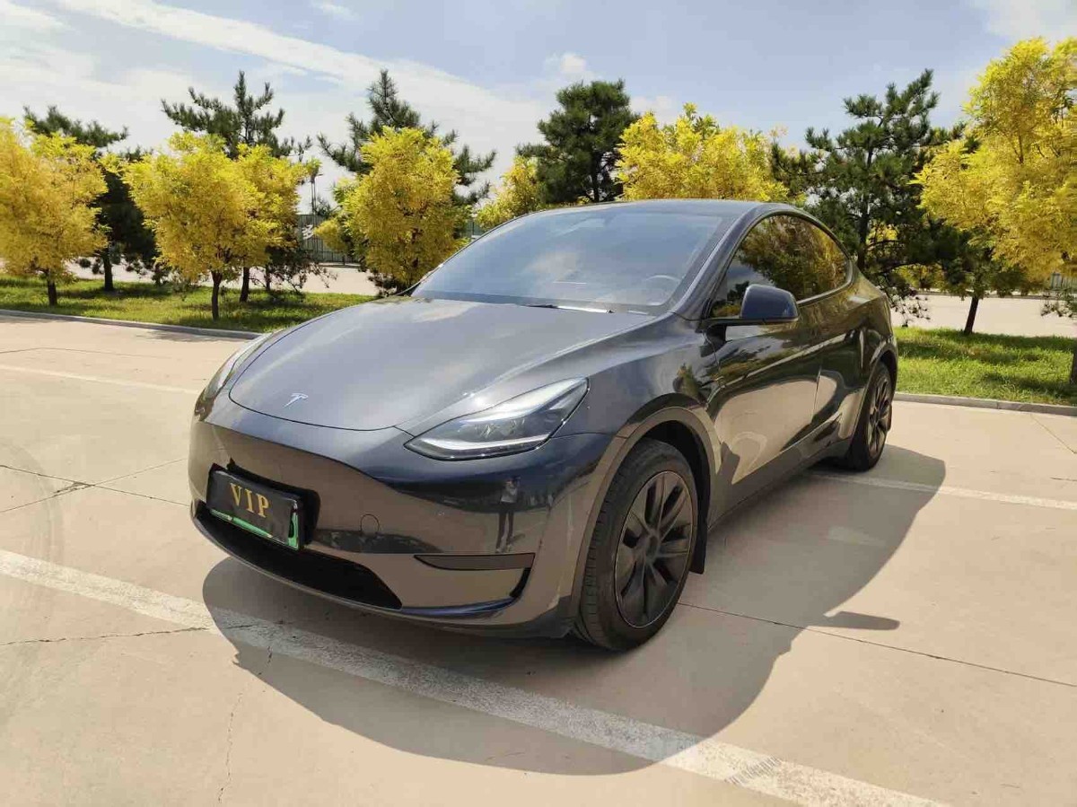 Tesla Model Y 2024 car image 