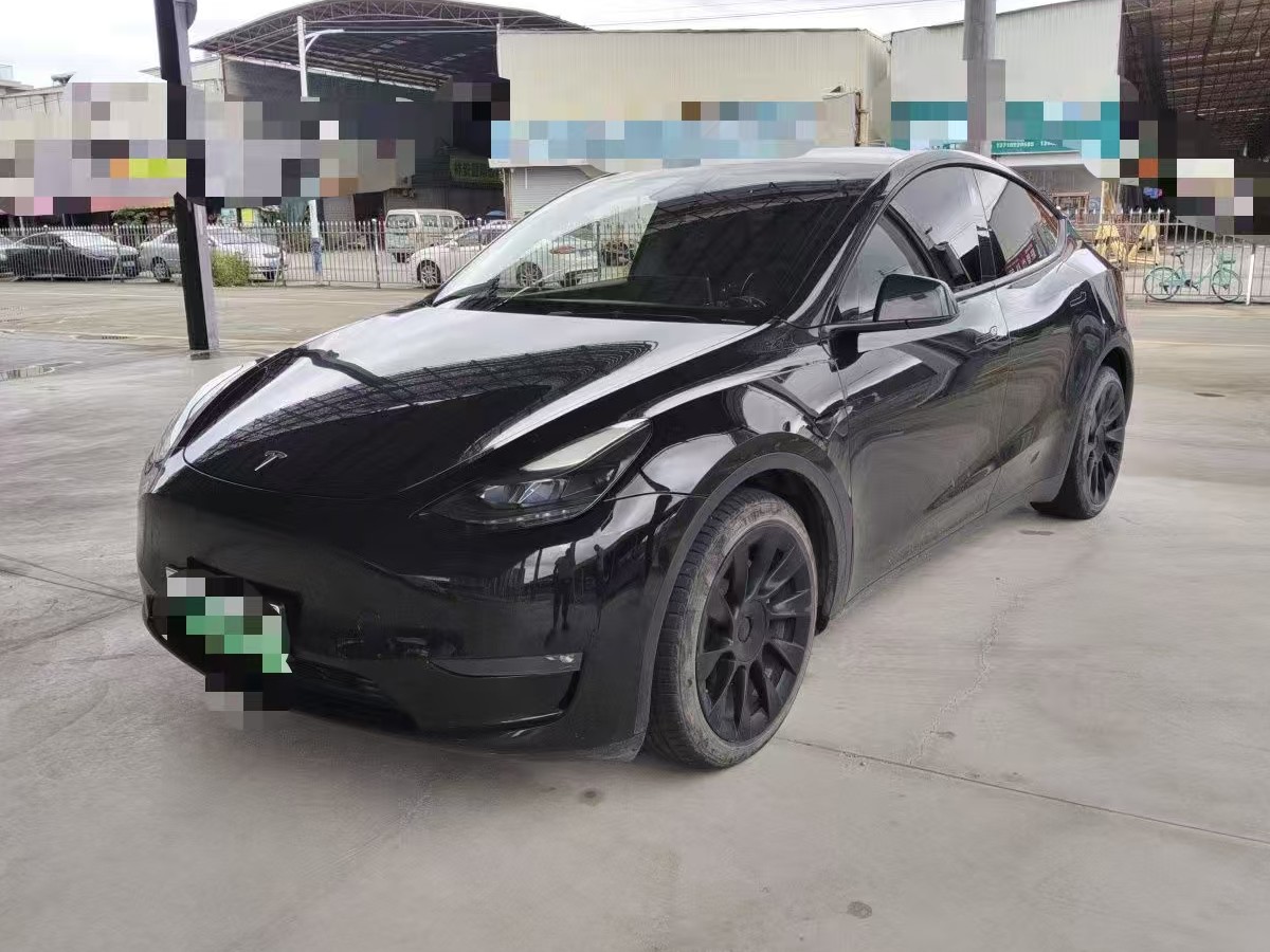 Tesla Model Y 2021 Tesla Model Y 2021 car image