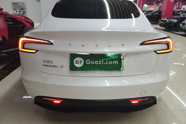 Tesla Model 3 2024 car image #6