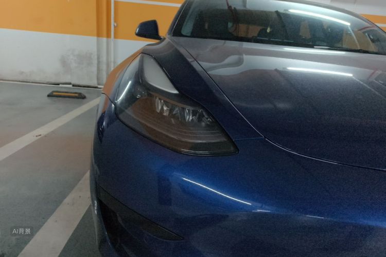 Tesla Model 3 2021 car image #8