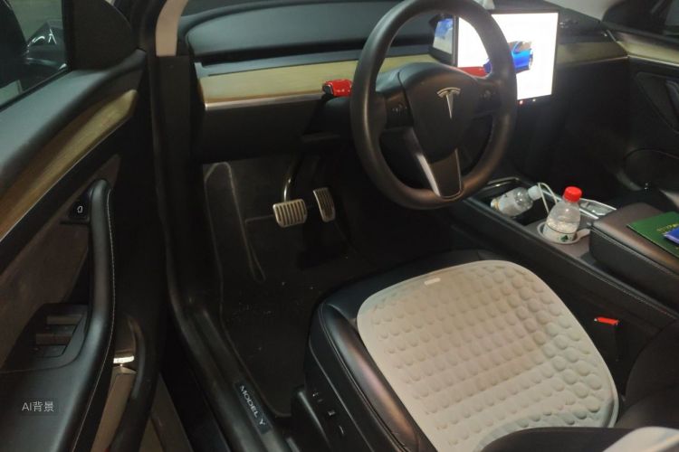 Tesla Model Y 2022 immagine di auto #18