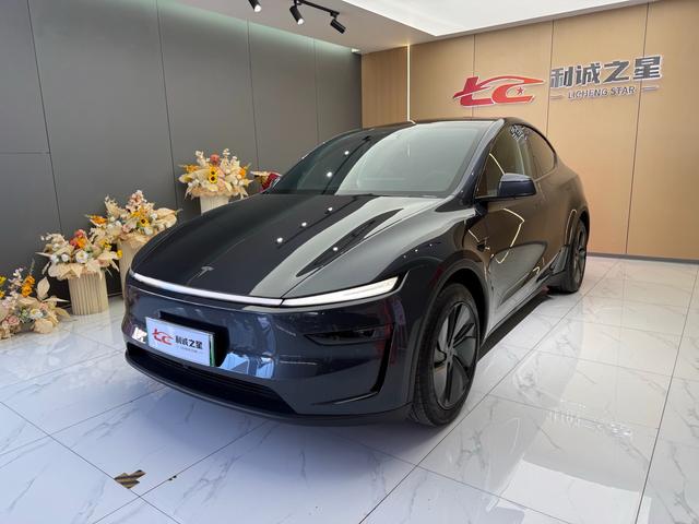 Tesla Model Y 2025 car image #18
