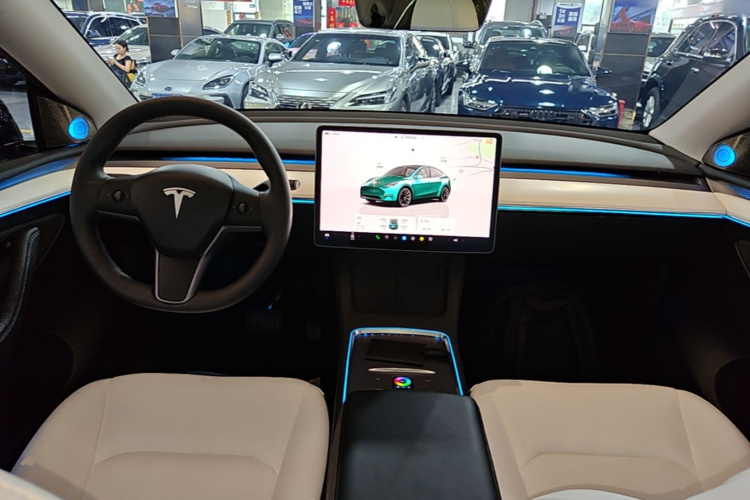 Tesla Model Y 2023 car image #10