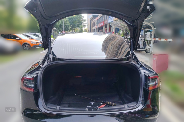 Tesla Model 3 2020 #21 Tesla Model 3 2020 car image #21