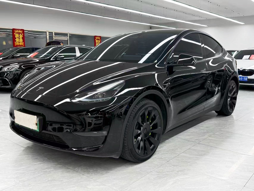Tesla Model Y 2023 car image 