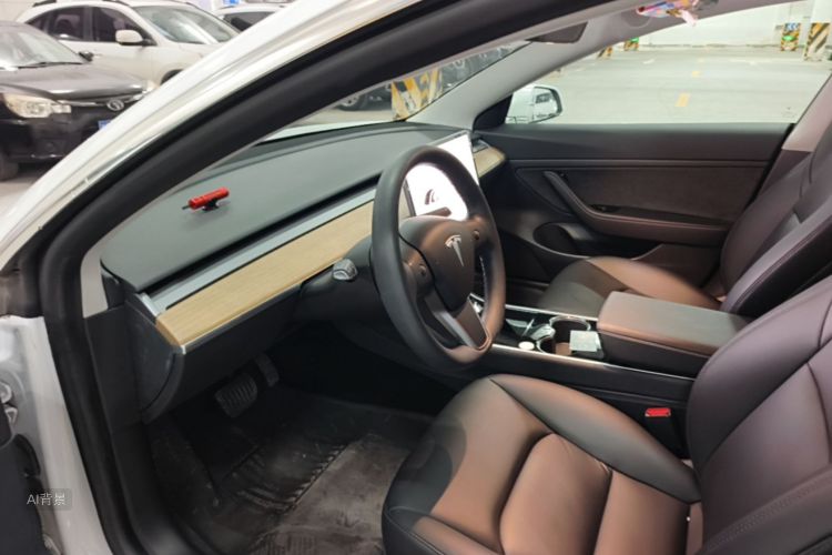 Tesla Model 3 2020 car image #19