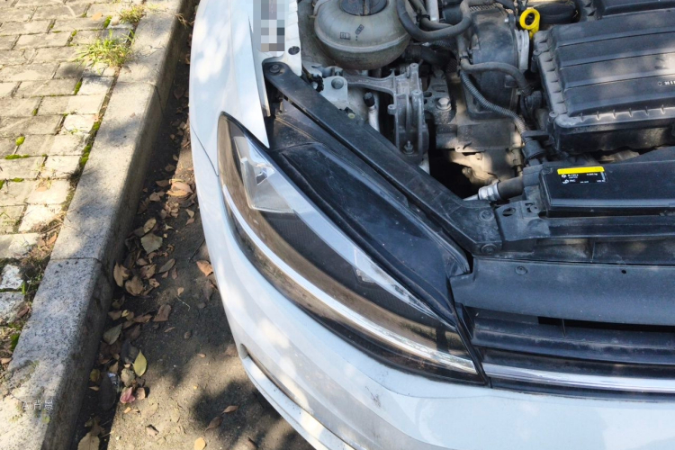 Volkswagen Golf 2019 #8 Volkswagen Golf 2019 car image #8