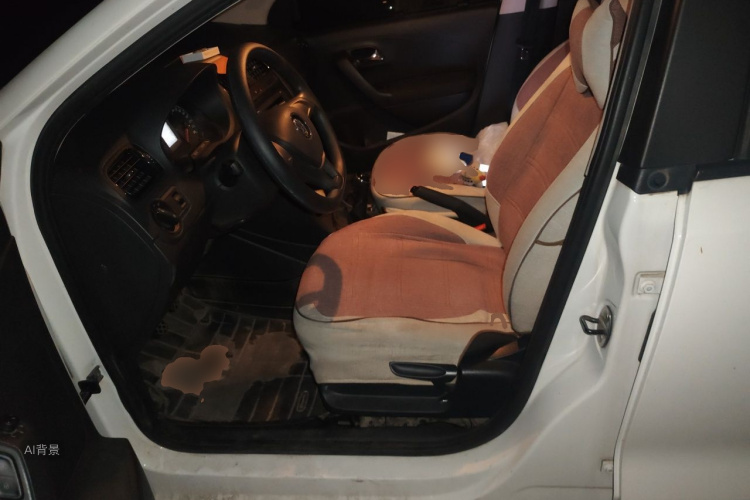 Volkswagen Polo 2018 car image #17