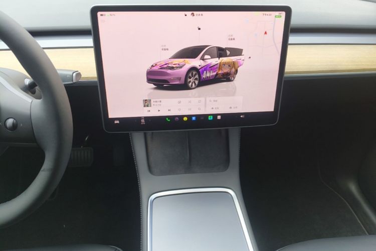 Tesla Model Y 2022 car image #13