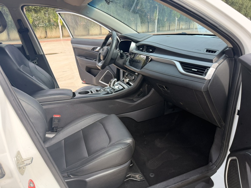 GEELY Emgrand New Energy 2021 car image #8