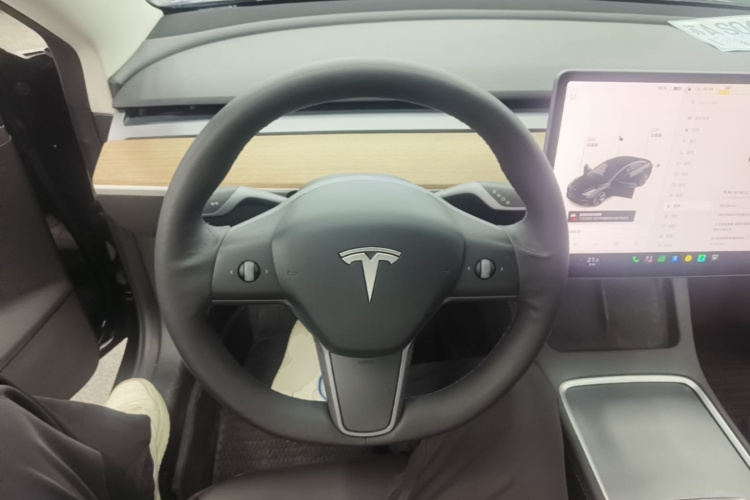 Tesla Model 3 2021 #15 Tesla Model 3 2021 car image #15