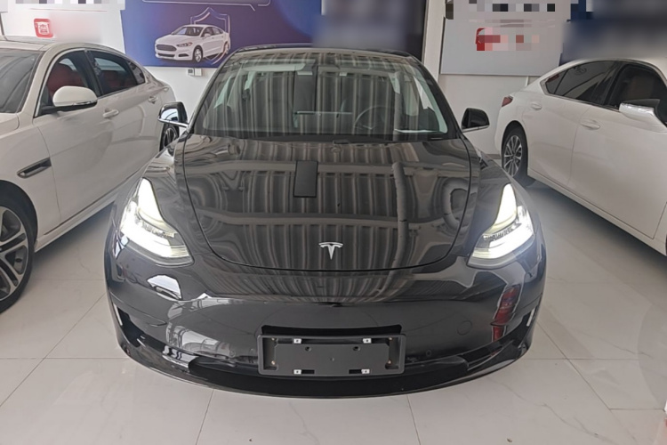 Tesla Model 3 2020 car image #3