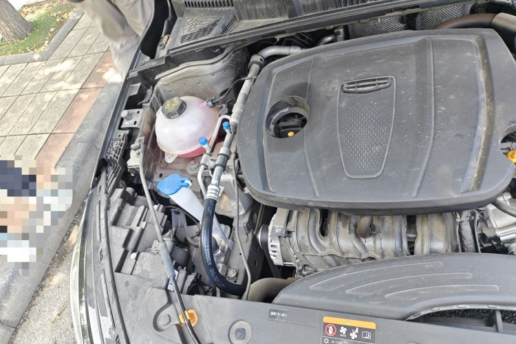 GEELY Emgrand 2025 immagine di auto #24