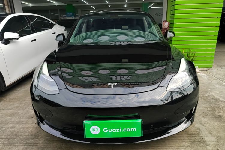 Tesla Model 3 2021 #3 Tesla Model 3 2021 car image #3