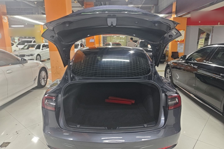 Tesla Model 3 2021 car image #19